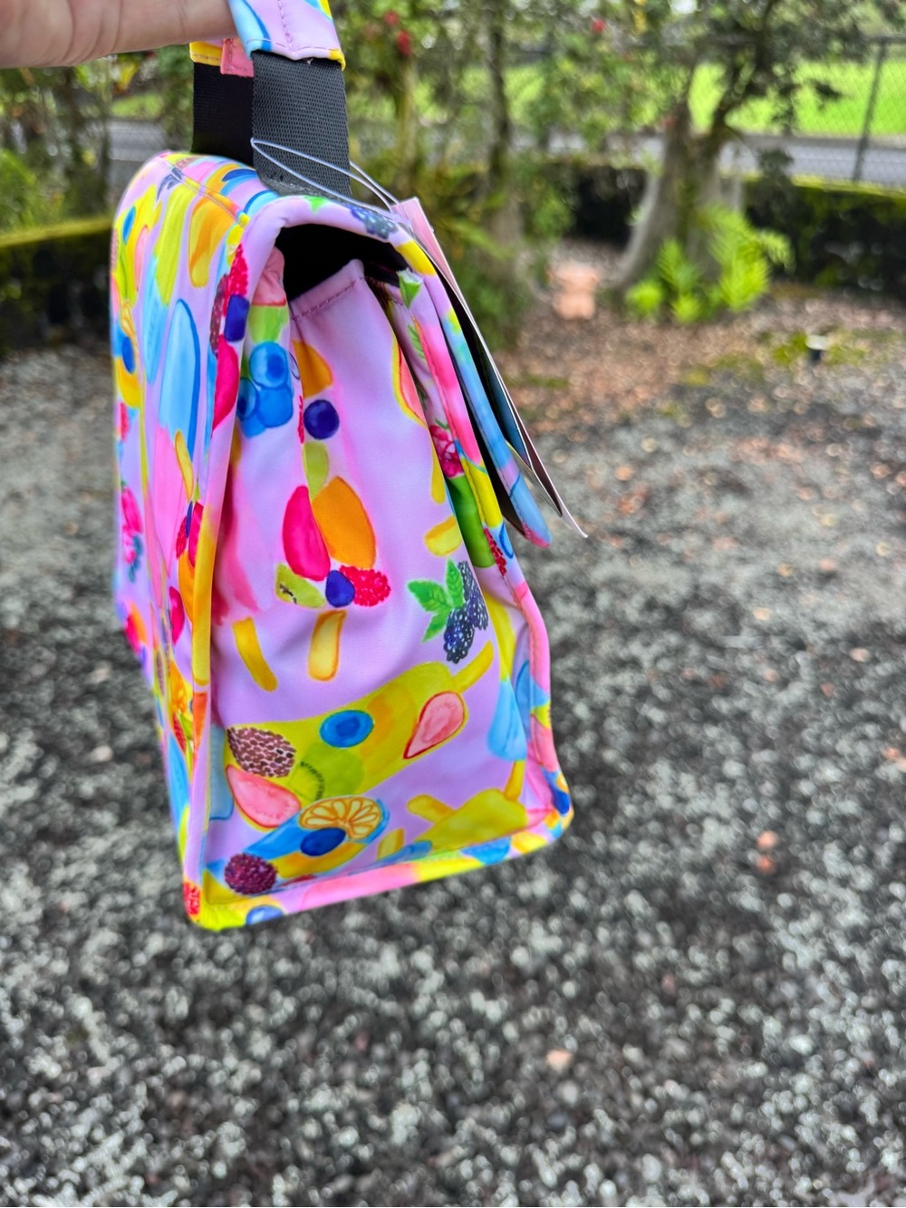 Betsey Johnson NWT Fruity Pops Flap Top Insulated Lunch Tote - Picture 5 of 9